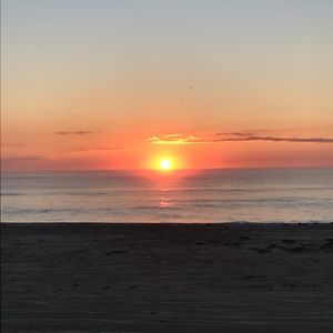 Meet your Posher, Sophie